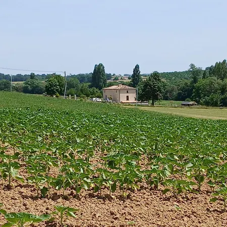Grande Avec Atypique